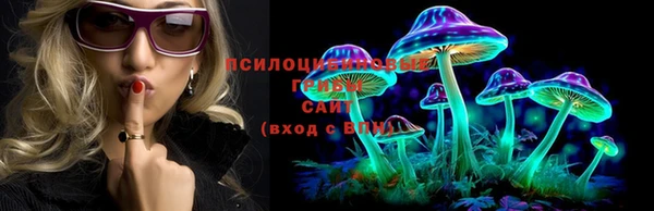 мдма Няндома