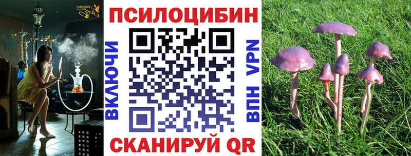 Купить  Дзержинский  Псилоцибиновые грибы мицелий 