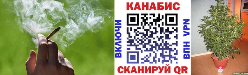 Купить закладки  Дзержинский  Бошки марихуана White Widow 
